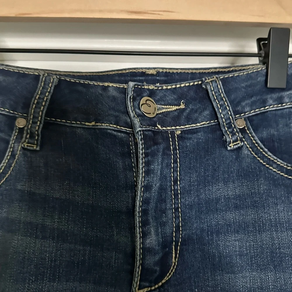 Earl Embroidered Trim Straight Leg Jeans - Picture 2 of 6